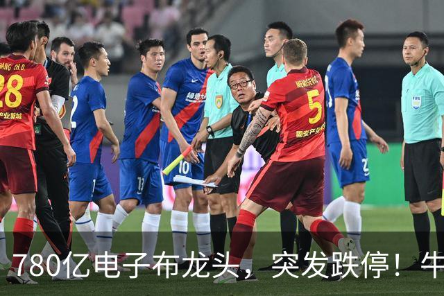 780亿电子布龙头，突发跌停！牛散葛卫东定增浮亏超6000万元，公司回应！