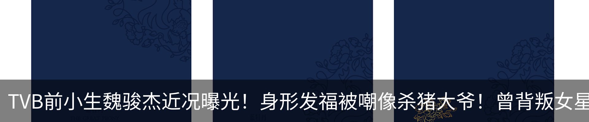 新闻动态